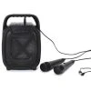 Paris Prix Enceinte Sans Fil Karaoké & 2 Micros 26cm Noir
