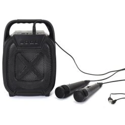 Paris Prix Enceinte Sans Fil Karaoké & 2 Micros 26cm Noir