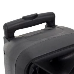 Paris Prix Enceinte Sans Fil & 2 Micros Karaoké 39cm Noir -PANASONIC shop B2CD 2010