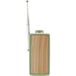 ROBERTS Radio DAB Rambler Mini Vert -PANASONIC shop B2CD 2408